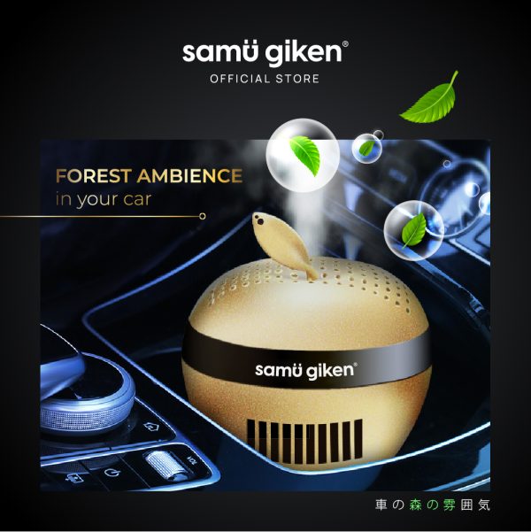 Car Air Purifier_Content_2024-03